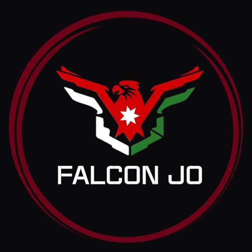 Logo FALCON STORE
