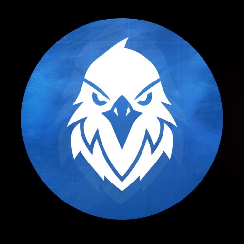 Logo Raven store