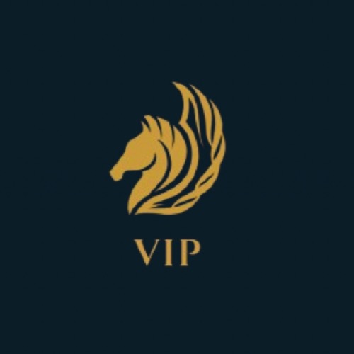 Logo متجر VIP